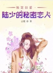 独宠旧爱amp;amp;#183;陆少的秘密恋人